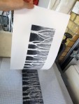 Silver Birch trees coming off the press