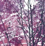 woodland%20path%2019-25%201