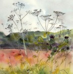 Cow Parsley LOW&nbsp;RES