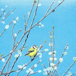 148x148_GREETING_CARD