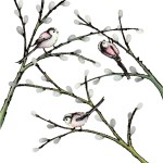 Alison Hullyer – Long Tailed&nbsp;Tits