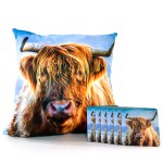 01 c.FirstSnowImages-Cushion-0921